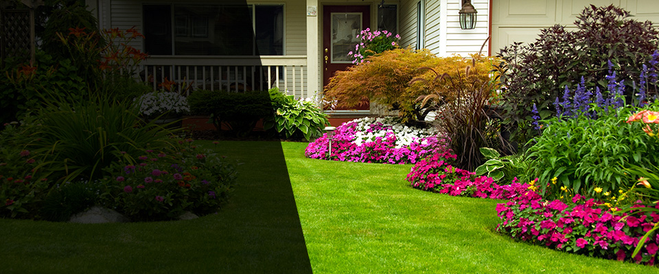 Palmer Lake Landscapers