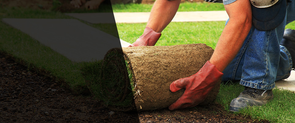 Palmer Lake Landscapers